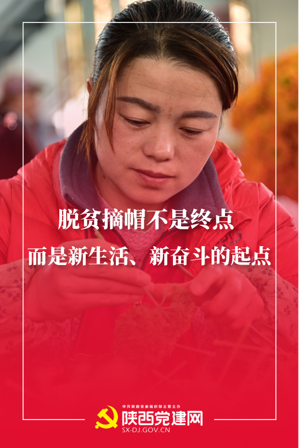 shiqi.png