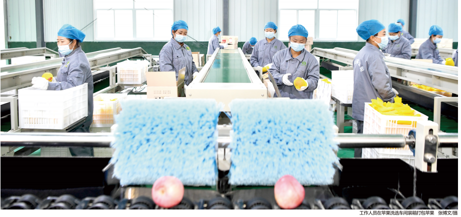 QQ截图20230117163643.png QQ截图20230117163643.png