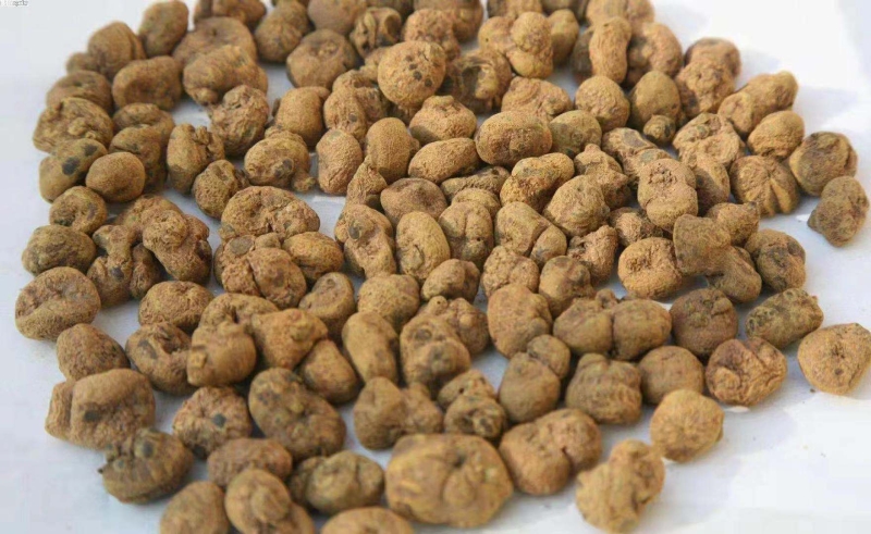“链长制”串珠成链6