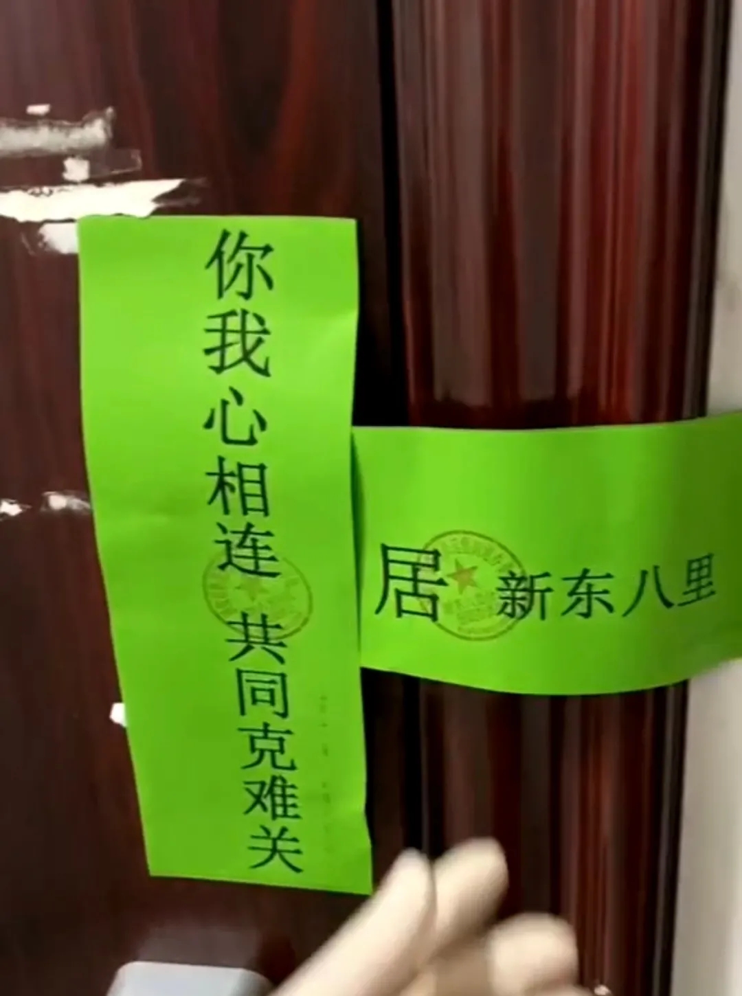 1111.webp.jpg 1111.webp.jpg