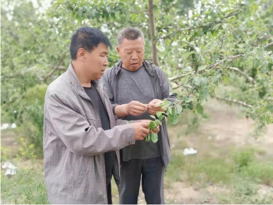 QQ截图20220531103215.png
