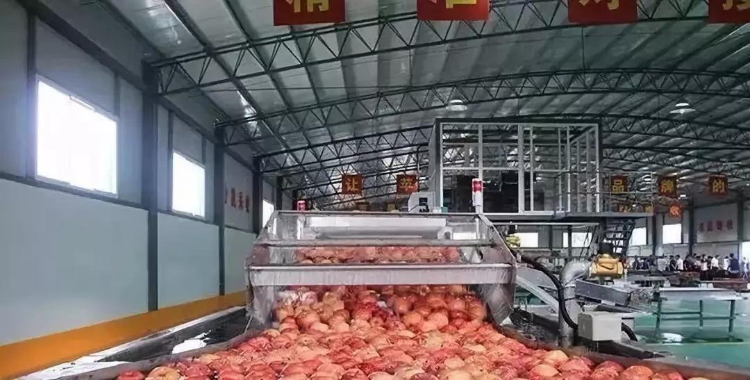 微信图片_20191111094018.jpg