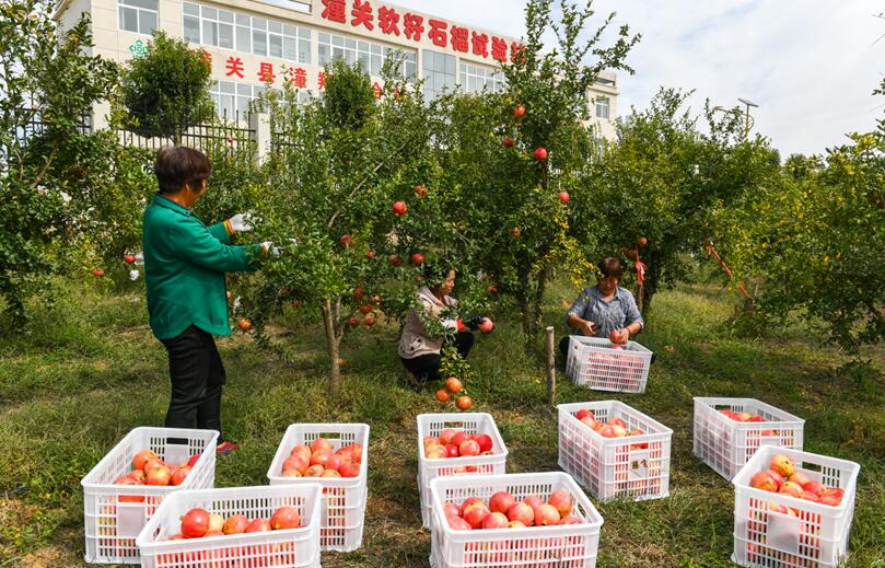 QQ截图20200922154916.jpg
