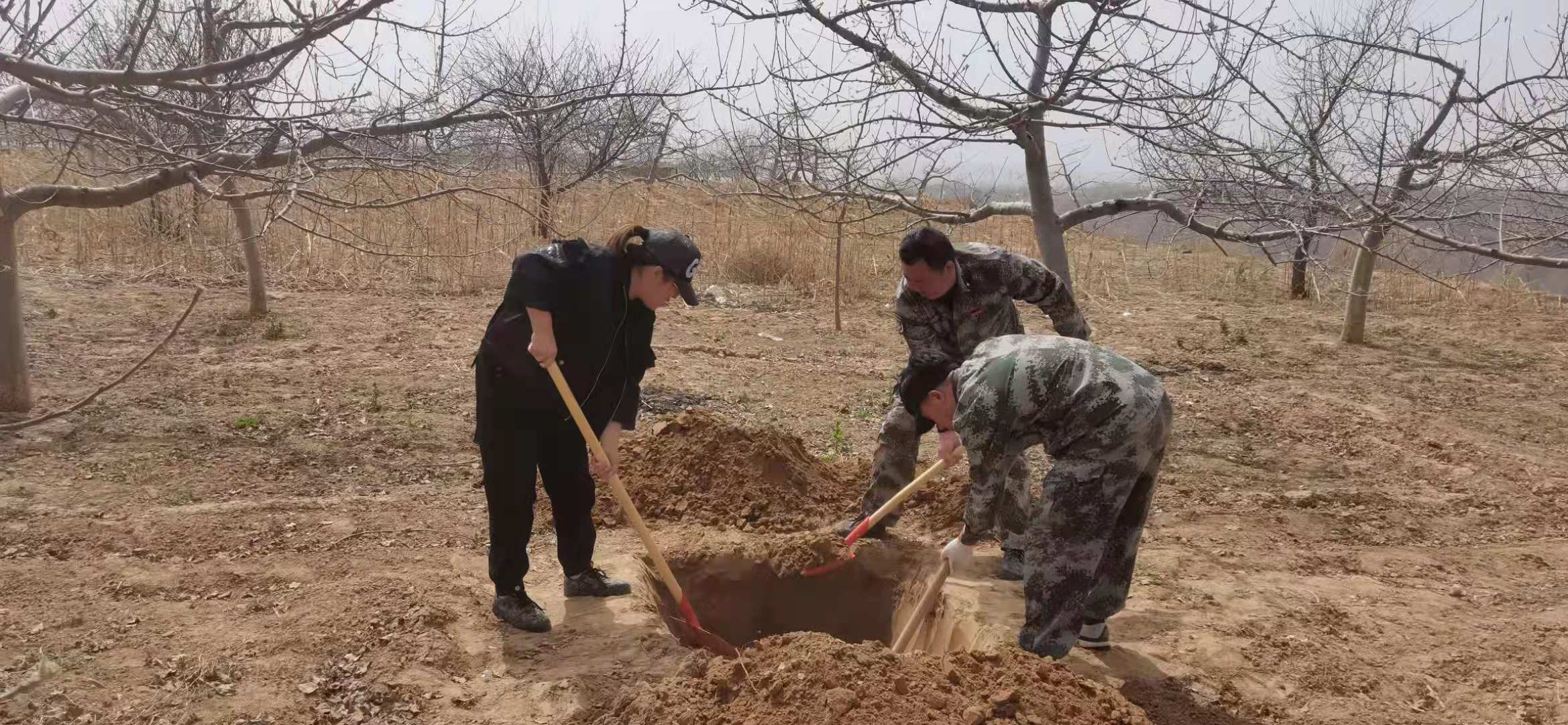 微信图片_20210331165240.jpg