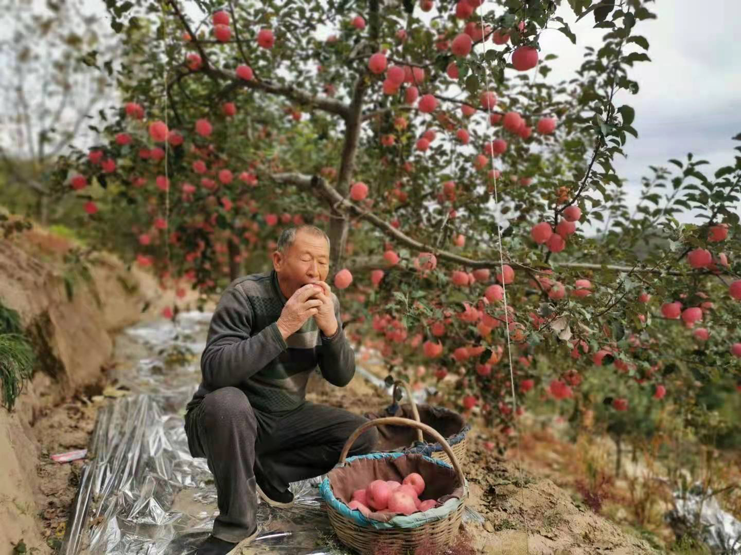 图片2.png