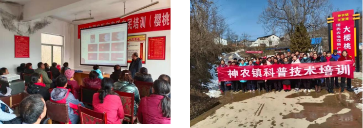 截图20220309094432.png