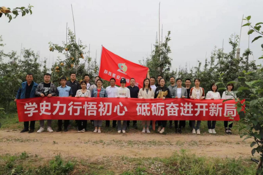 QQ截图20220614092709.png