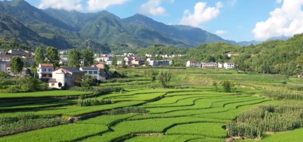 微信图片_20220719091402.png