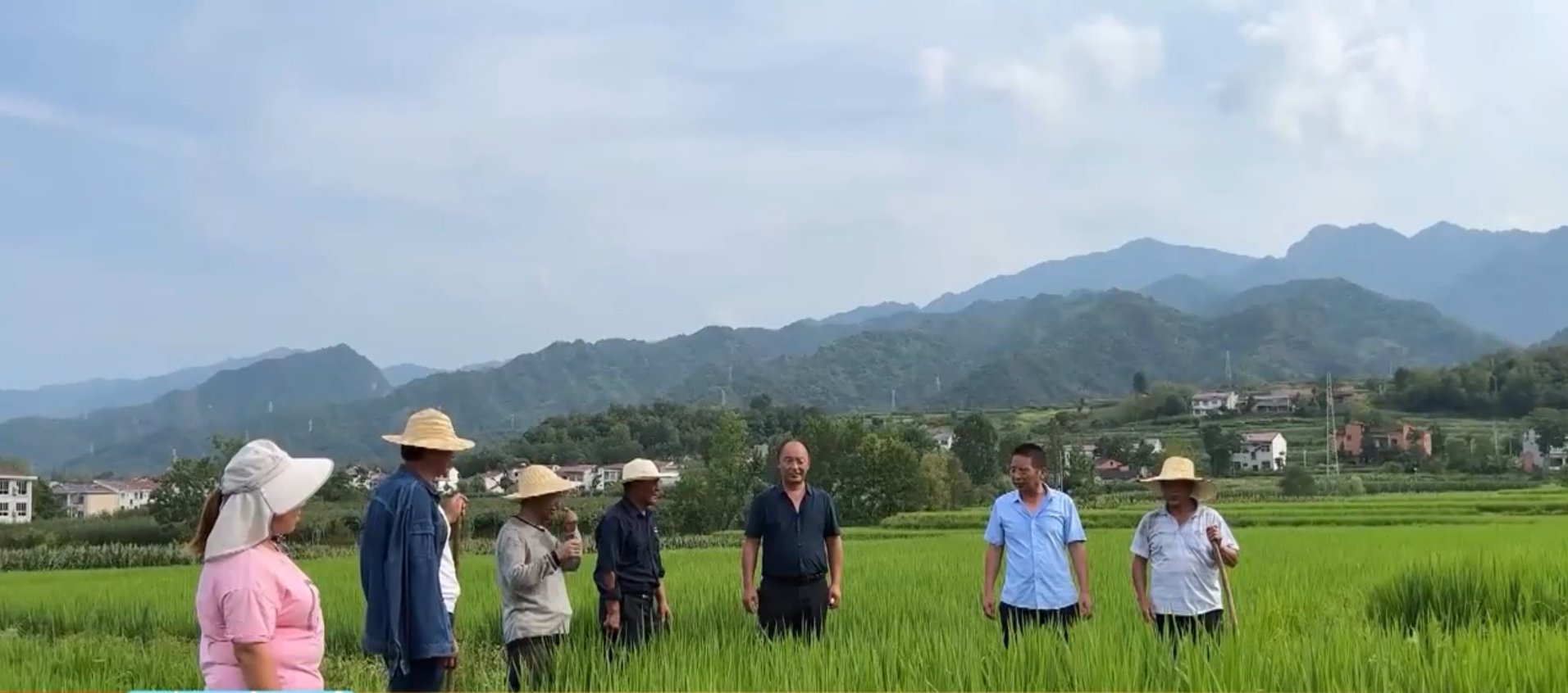 微信图片_20220719092349.png