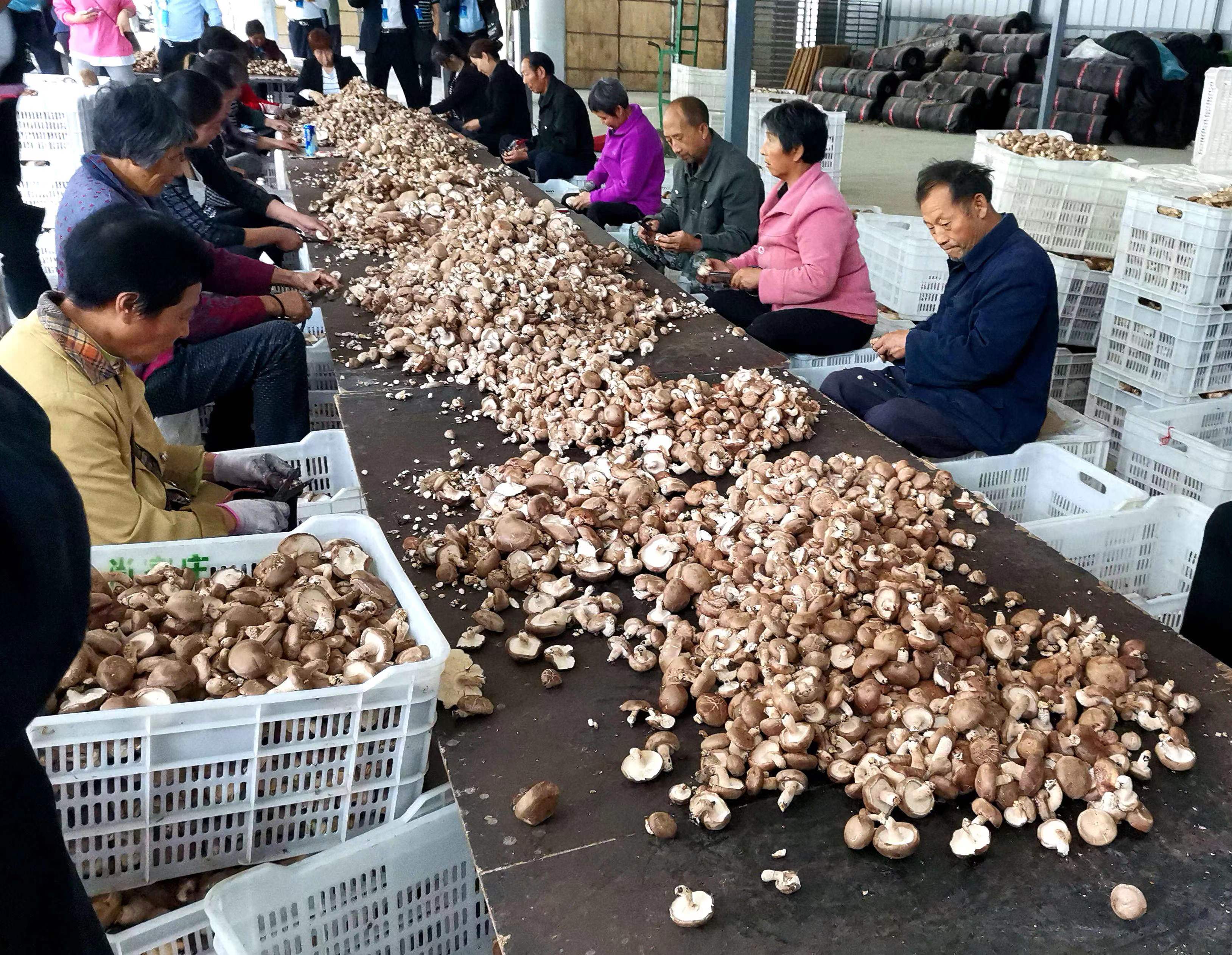 微信图片_20221012154745.jpg