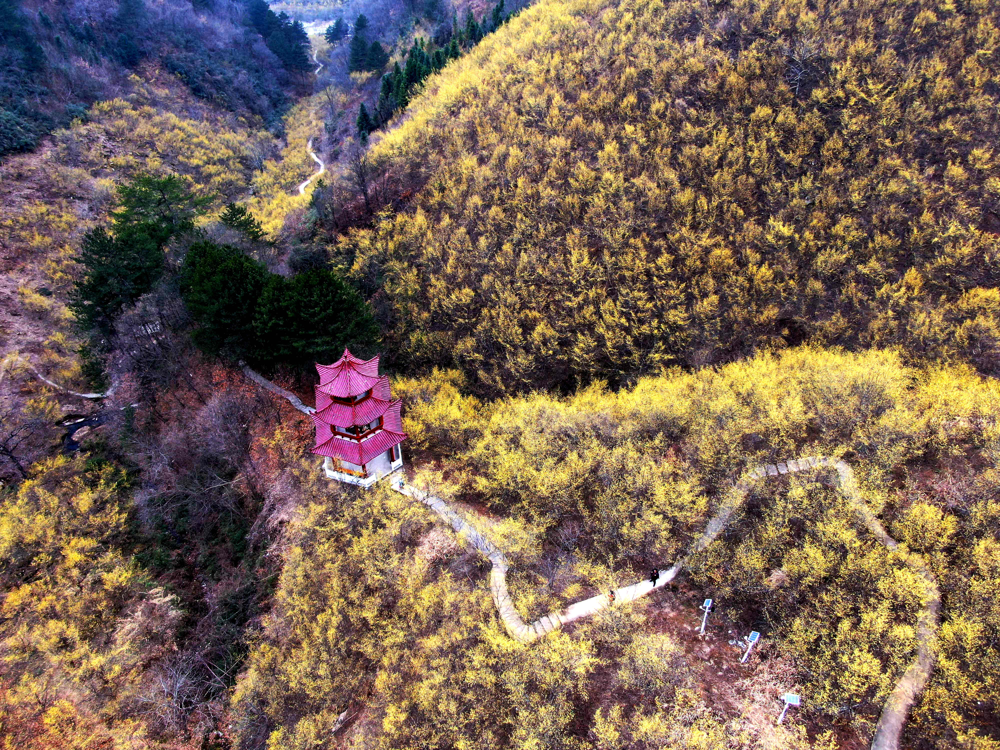 微信图片_20221012154735.jpg