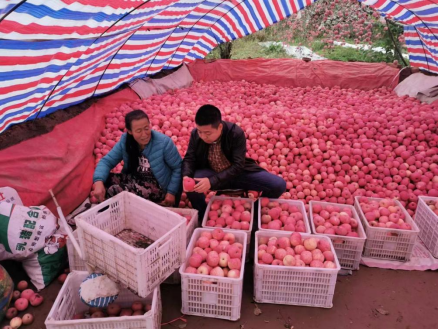 QQ截图20221130095437.png