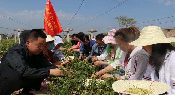 QQ截图20200611163406.jpg