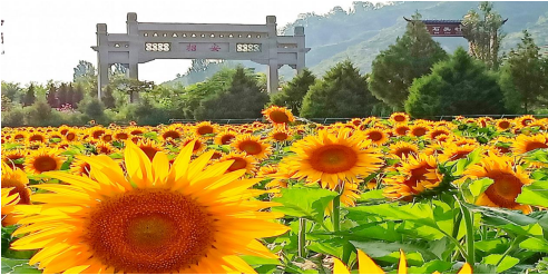 QQ截图20220323164125.png
