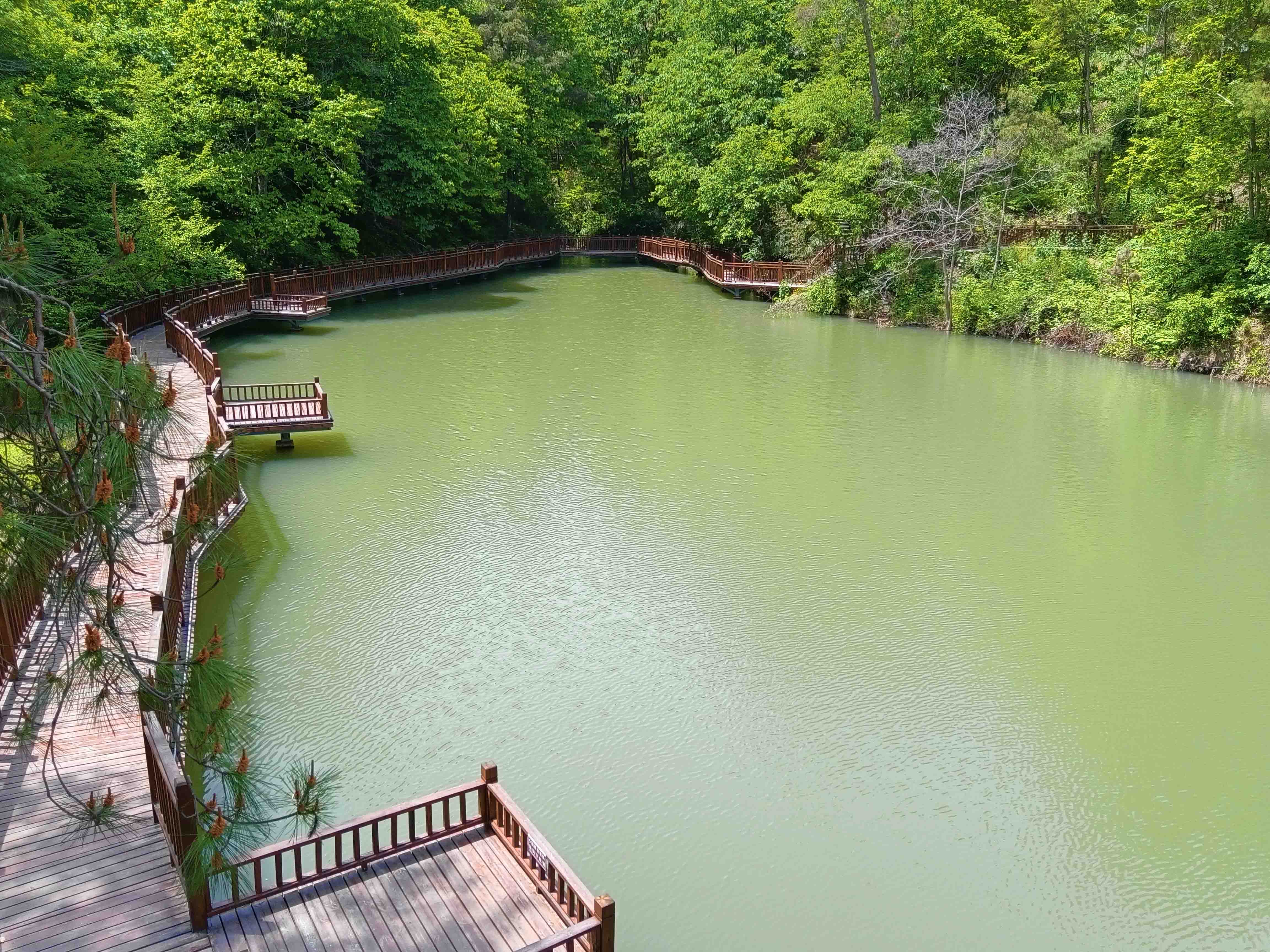 陌上花开生态农庄一角  吴彦峰摄.jpg