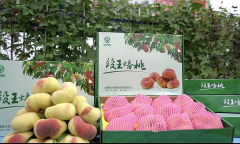 QQ截图20220713154903.png