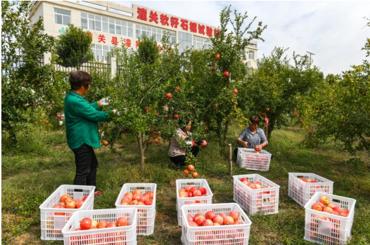 QQ截图20221124154834.png