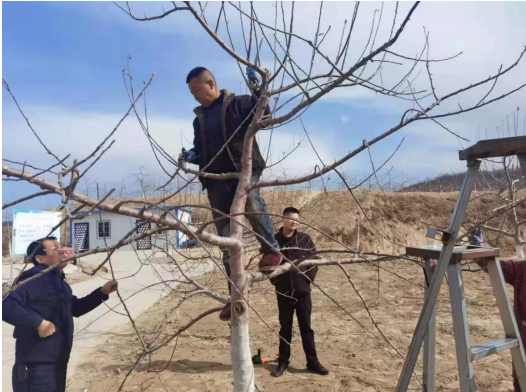 QQ截图20230324104954.png
