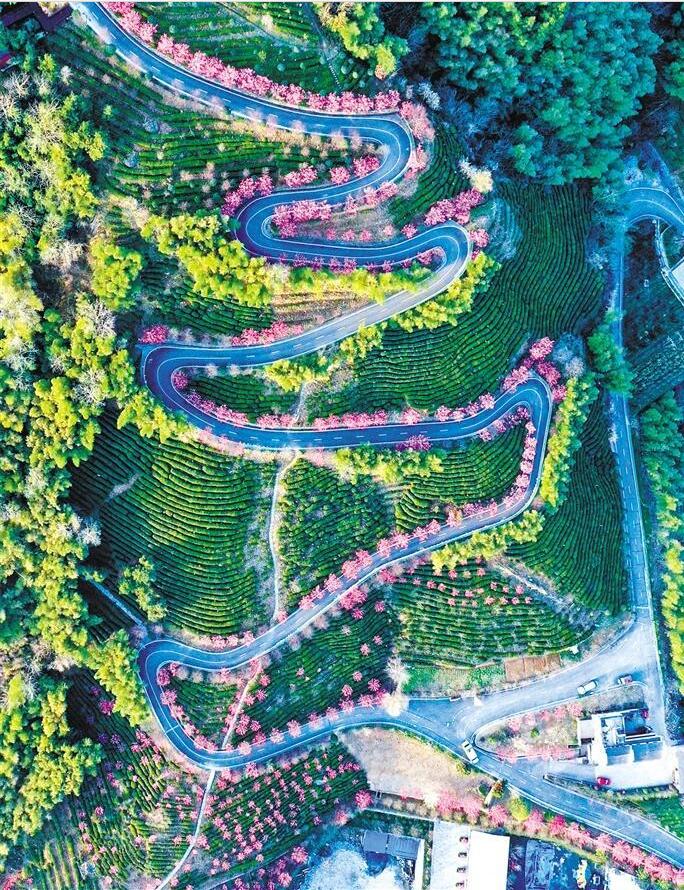 QQ截图20230410082320.jpg