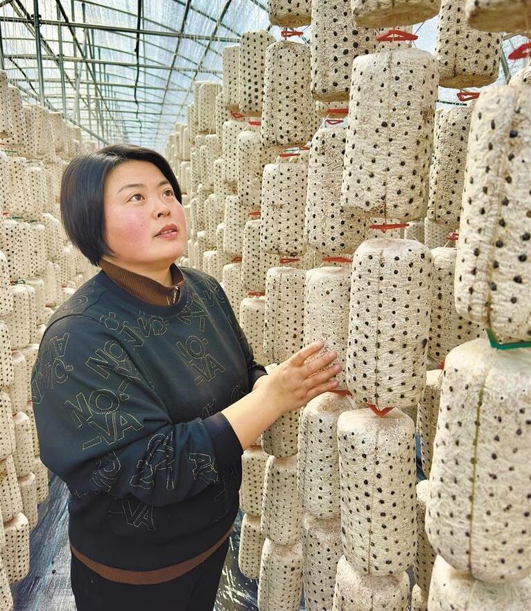 QQ截图20230410082515.jpg