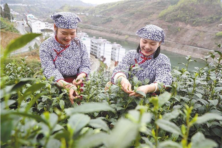 QQ截图20230417082815.jpg