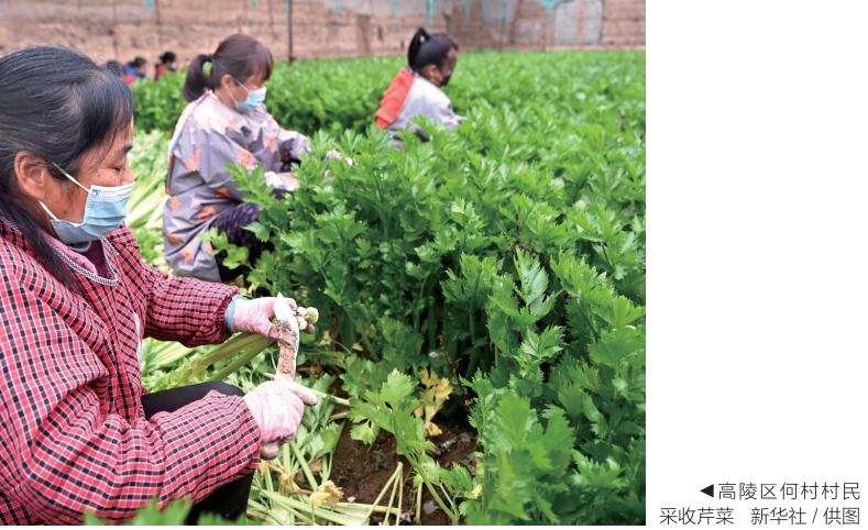 QQ截图20230216104423.png