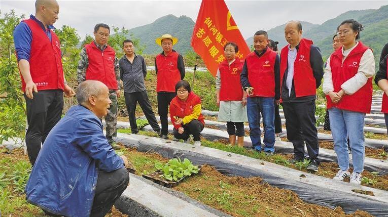 QQ截图20230714082252.jpg