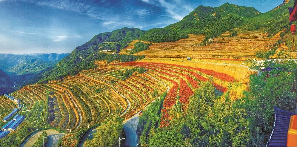 QQ截图20230609081424.jpg QQ截图20230609081424.jpg