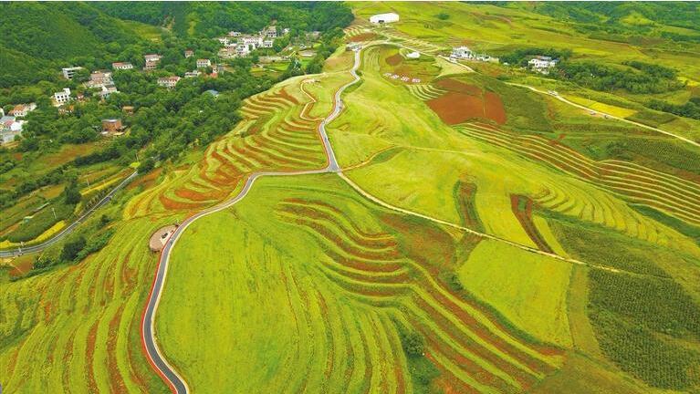 QQ截图20230620082114.jpg QQ截图20230620082114.jpg