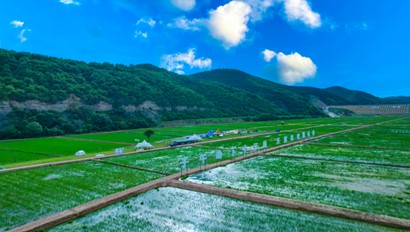 图片4.jpg 图片4.jpg