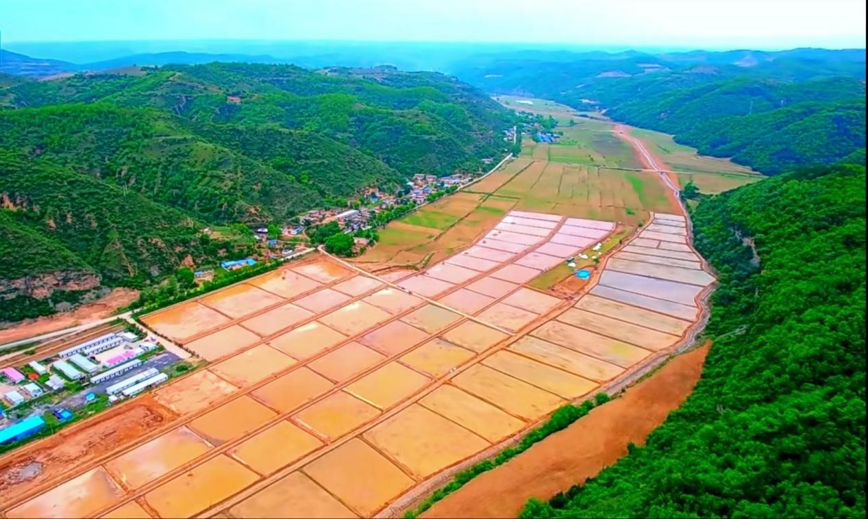 图片3.jpg 图片3.jpg