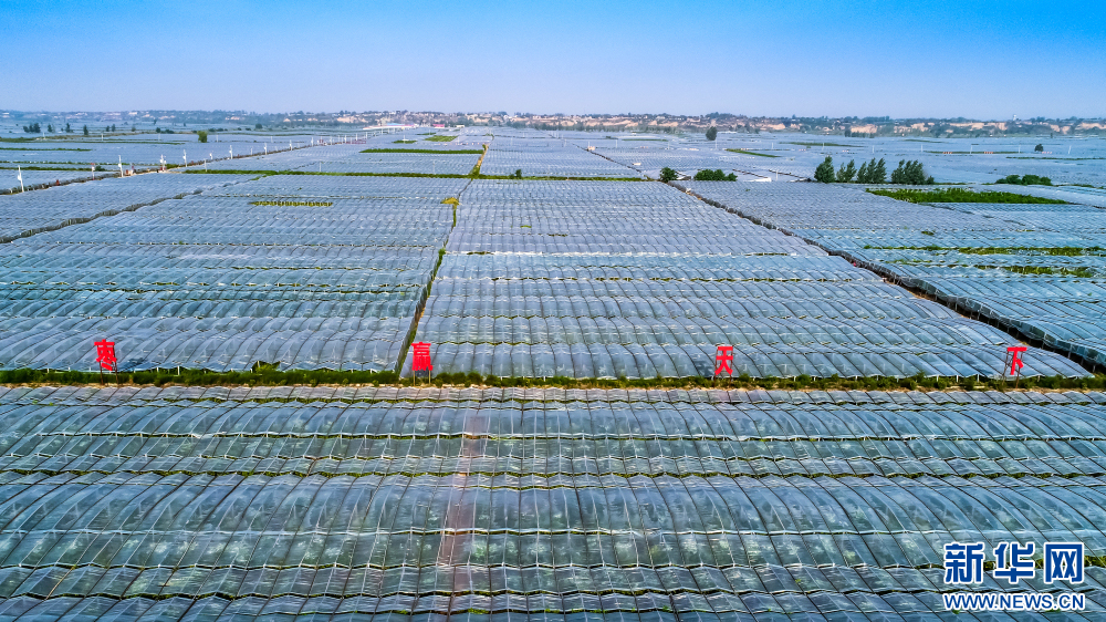 a01cf0ea46464473b6f4bcf706c3700a.jpg a01cf0ea46464473b6f4bcf706c3700a.jpg