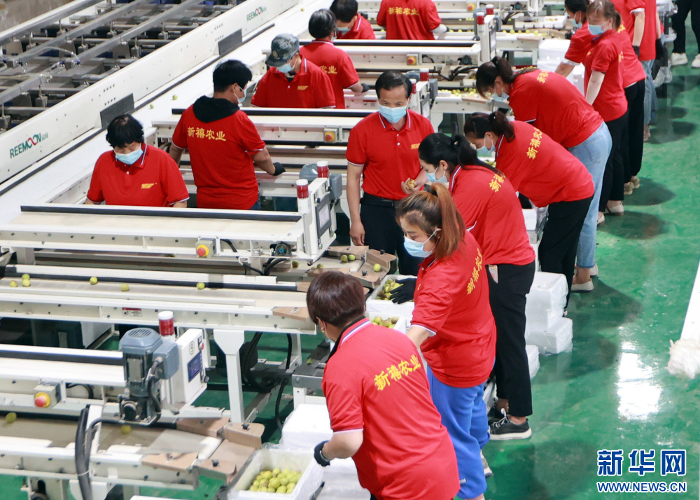 6bca5b10ac384ea19cba0191485d1cc8.jpg 6bca5b10ac384ea19cba0191485d1cc8.jpg