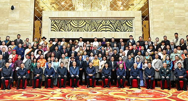 习近平接见西藏各族各界代表