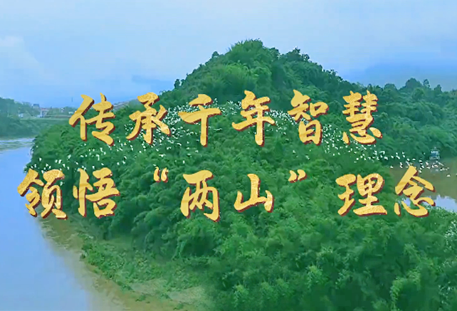 微视频 | 传承千年智慧 领悟“两山”理念