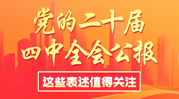 图说｜党的二十届四中全会公报，这些表述值得关注
