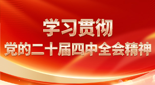 学习贯彻党的二十届四中全会精神