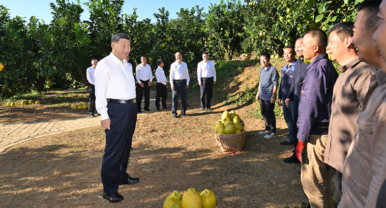 习近平在广东考察时强调深入学习宣传贯彻党的二十届四中全会精神 以全面深化改革开放推动高质量发展