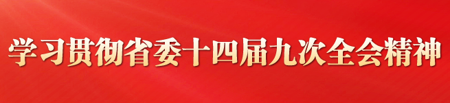 学习贯彻省委十四届九次全会精神